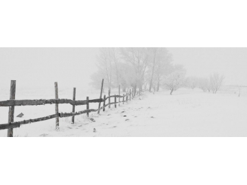 Kälteschutzhandschuhe/Winterhandschuhe