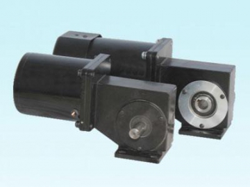 AC-Schneckengetriebemotor, DC-Schneckengetriebemotor 90YS/90JW