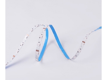 D548RGB 12V 8mm  Storefront Lighting LED Strip Light