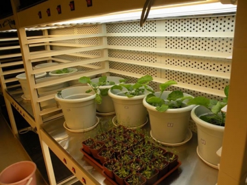 Pflanzenwuchsschrank - Umweltsimulationsschrank