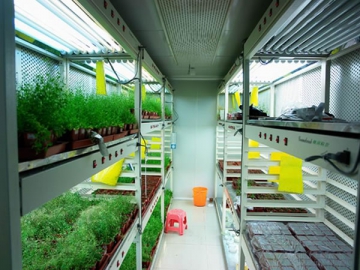 Pflanzenwuchsschrank - Umweltsimulationsschrank