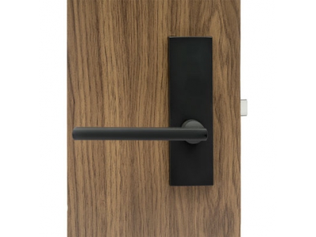 MPD1611 Türklinke mit Schloss