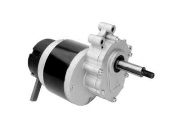 250W (2800 RPM) Antriebsmotor, DC Bürstenmotor, PMDC Motor ZD101AZ1