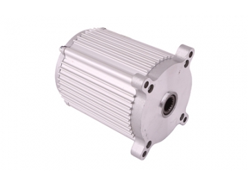 Bürstenloser PMDC Motor TF102AH Serie