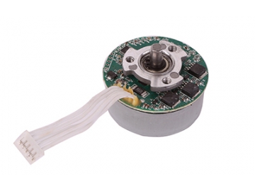 10-15W Antriebsmotor, bürstenloser DC Motor, PMDC Motor GF028A