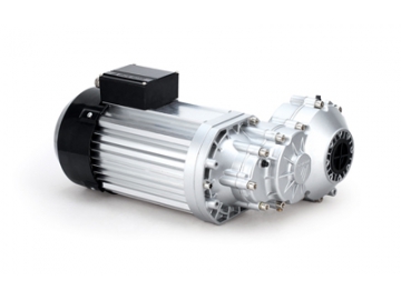 Bürstenloser PMDC Motor TZ155B Serie
