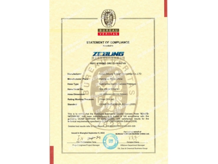 Offshore/ Marine Ölschlauch/ Kraftstoffschlauch